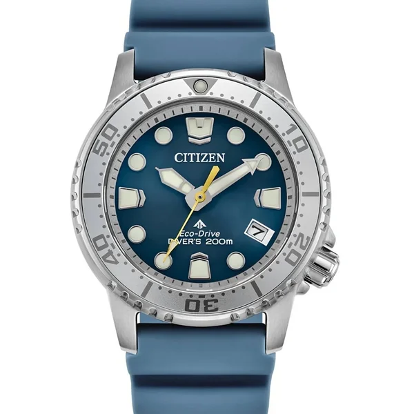 Citizen Eco-Drive — Black dial, steel case